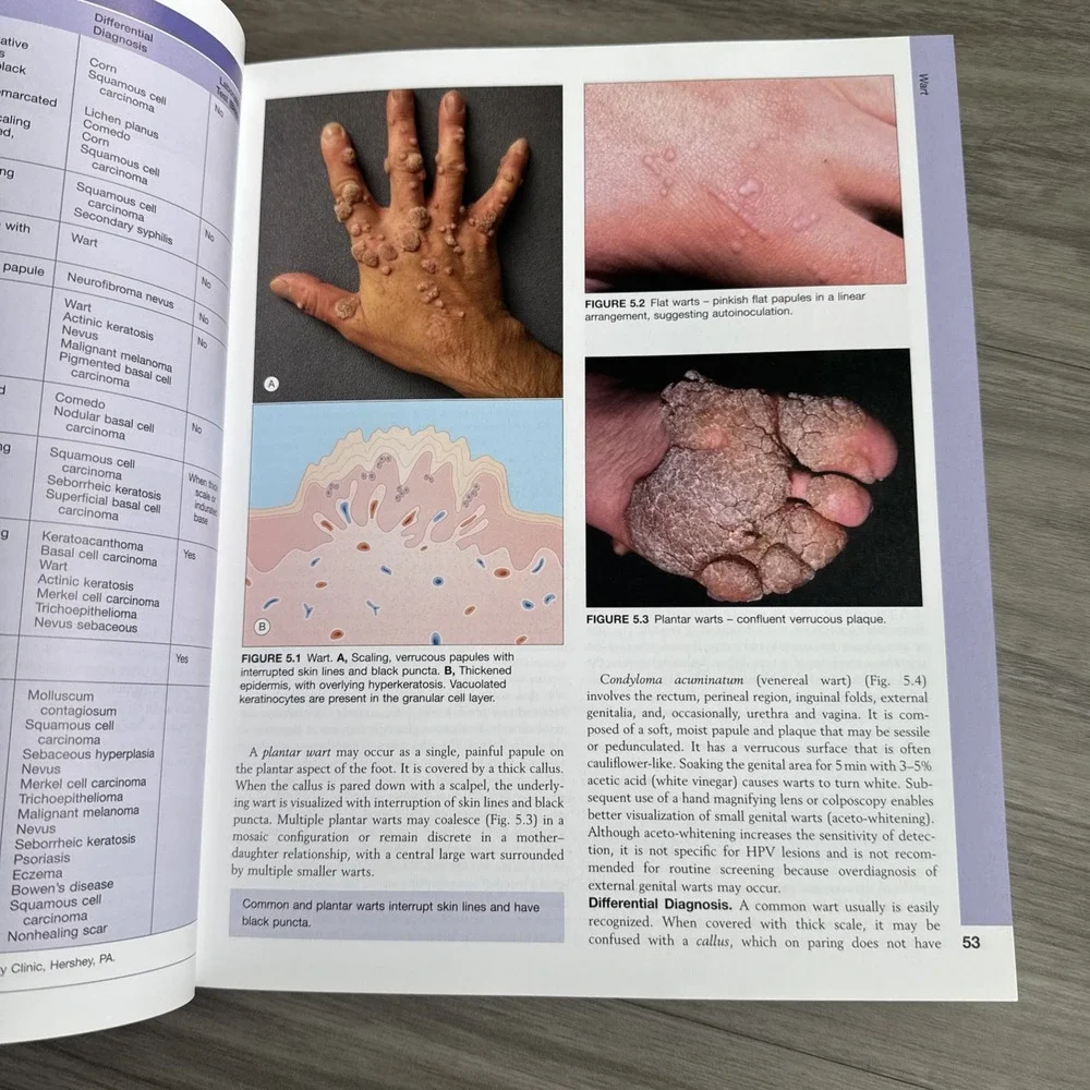 Lookingbill and Marks' Principles of Dermatology, 4e (PRINCIPLES OF DERMA
